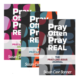 Color Assortment No Words